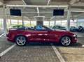 Ford Mustang GT Cabrio Aut. 1Hd + DE + Garantie Rojo - thumbnail 11