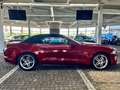 Ford Mustang GT Cabrio Aut. 1Hd + DE + Garantie Rojo - thumbnail 5