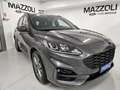 Ford Kuga 2.0 EcoBlue 120 CV aut. 2WD ST-Line Grigio - thumbnail 1