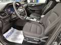 Ford Kuga 2.0 EcoBlue 120 CV aut. 2WD ST-Line Grigio - thumbnail 7