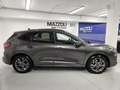 Ford Kuga 2.0 EcoBlue 120 CV aut. 2WD ST-Line Grigio - thumbnail 6