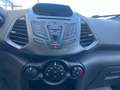 Ford EcoSport 2014 1.0 ecoboost Plus s/ruot.esterna 125cv Gris - thumbnail 12