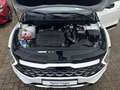 Kia Sportage GT-Line Allrad 1.6 CRDi Mild Hybrid 7-AT Leder Dri Weiß - thumbnail 14