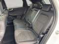 Ford Kuga 2.5 Duratec PHEV ST-LINE AHK PANO SHZ BANG& Wit - thumbnail 14