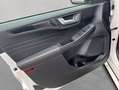 Ford Kuga 2.5 Duratec PHEV ST-LINE AHK PANO SHZ BANG& Wit - thumbnail 13