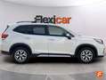 Subaru Forester 2.0i Hybrid Executive CVT Blanco - thumbnail 11