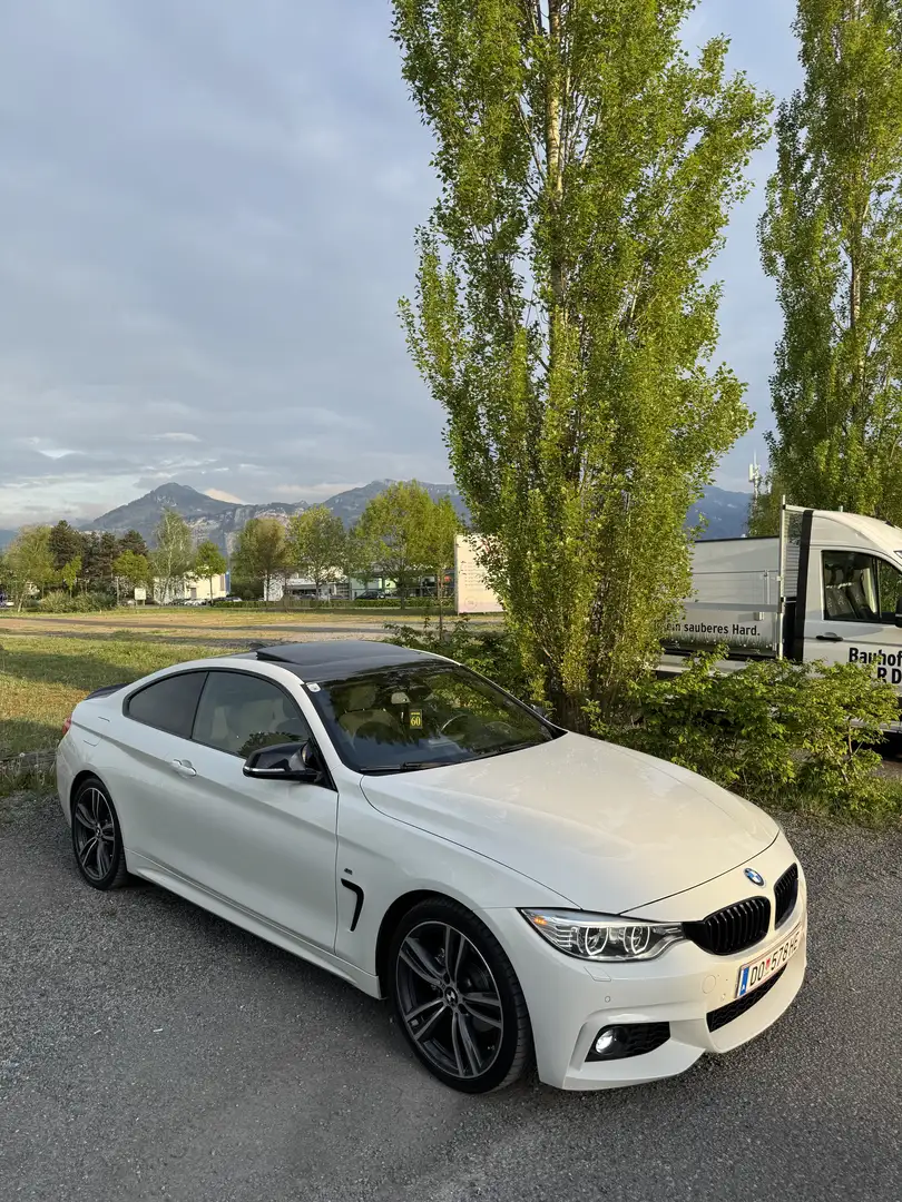 BMW 420 420d xDrive Coupe Aut. - 2