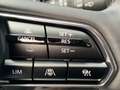 Mazda CX-60 3.3L e-SKYACTIV D AWD HOMURA Aut. Grau - thumbnail 14