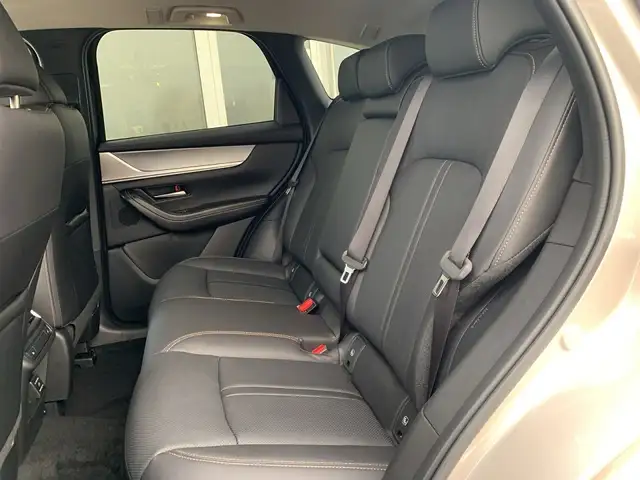 Mazda CX-60 3.3L e-SKYACTIV D AWD HOMURA Aut. Ansicht 9