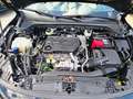 Ford Focus 1.5 EcoBlue 120CV 5p. ST Line TAGL. E GARANZIA FOR Zwart - thumbnail 32