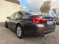 BMW 530 d x Drive DPF Braun - thumbnail 21