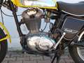 Ducati Scrambler 450 Desmo Gelb - thumbnail 4
