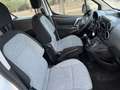 Citroen Berlingo BlueHDi Talla M Live 75 - thumbnail 5