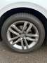 Volkswagen Passat 2.0 TDI, AHK, Business-Paket, ACC, uvm Argintiu - thumbnail 12