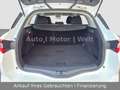Renault Megane IV Grandtour Limited 1.Hand SHZ/ALU/TMPMT Blanc - thumbnail 11