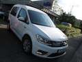 Volkswagen Caddy 1,4 TGI Comfortll. Xenon NAV KAM SIH REL Bianco - thumbnail 9