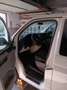 Volkswagen T6 Transporter Kurz Plus Comfortline - thumbnail 6