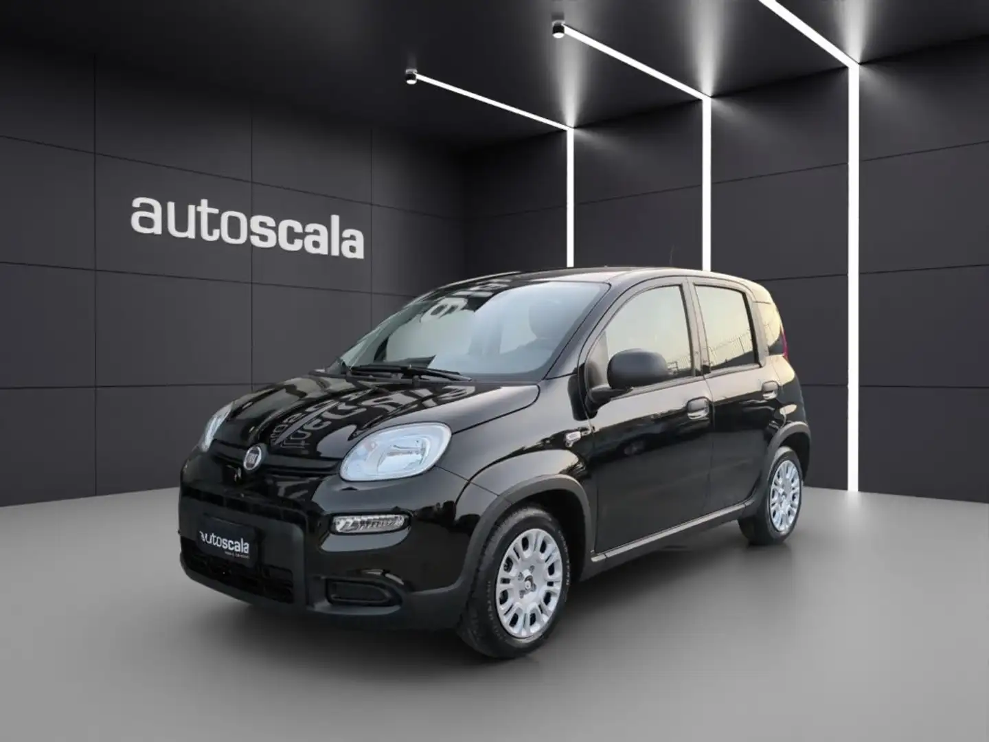 Fiat Panda 1.0 FireFly S&S Hybrid Pandina Noir - 1