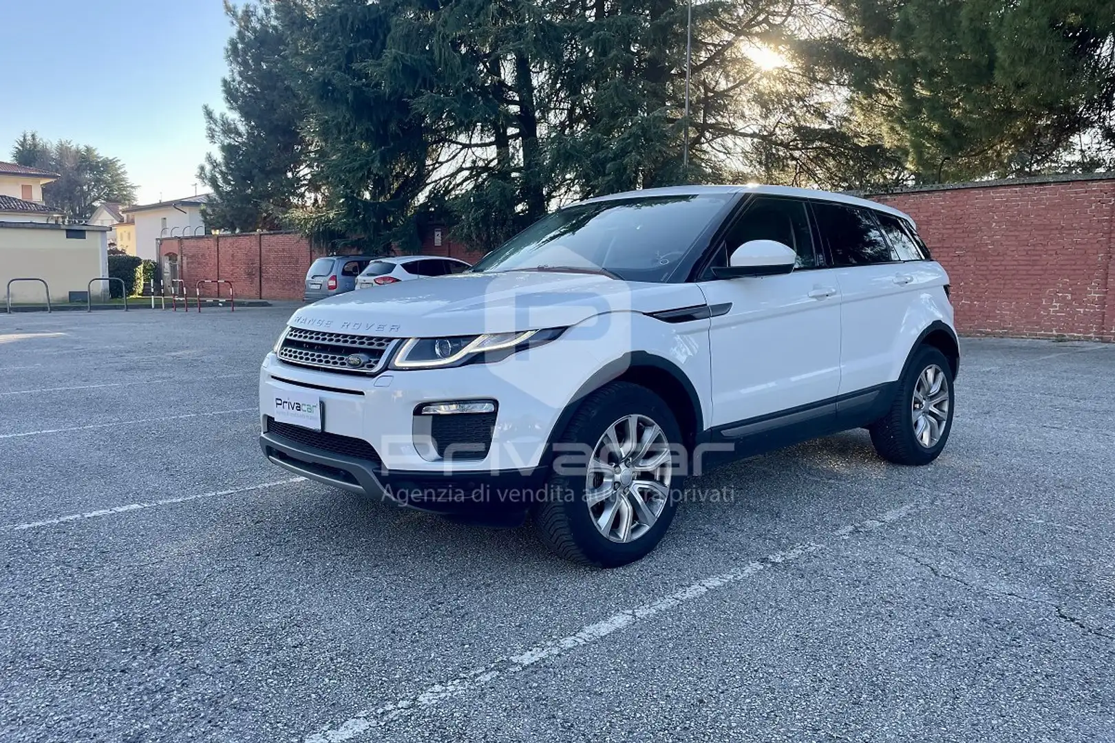 Land Rover Range Rover Evoque Range Rover Evoque 2.0 TD4  Business Edition SE Bianco - 1