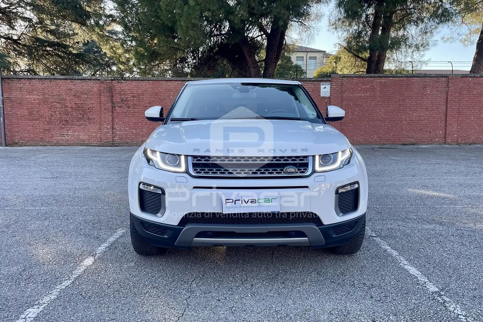 Land Rover Range Rover Evoque Range Rover Evoque 2.0 TD4  Business Edition SE Bianco - 2