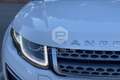 Land Rover Range Rover Evoque Range Rover Evoque 2.0 TD4  Business Edition SE Bianco - thumbnail 9