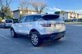 Land Rover Range Rover Evoque Range Rover Evoque 2.0 TD4  Business Edition SE Bianco - thumbnail 7