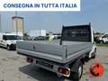 Fiat Ducato 2.3 MJT 140 CV CASSONE FISSO 327MT-POKI KM-E6D- Wit - thumbnail 7