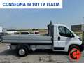 Fiat Ducato 2.3 MJT 140 CV CASSONE FISSO 327MT-POKI KM-E6D- Wit - thumbnail 2