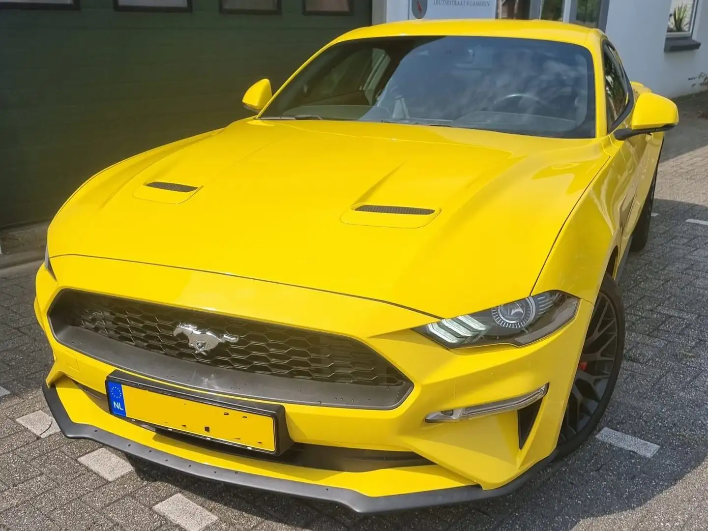 Ford Mustang Mustang 2.3 EcoBoost Galben - 1
