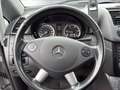 Mercedes-Benz Vito 113 CDI lang*2x Schiebetür*Navi*8-Sitzer* Plateado - thumbnail 20