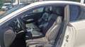 Audi A5 2.0 TFSI S-Line ''Pano'' Blanc - thumbnail 14