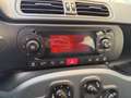 Fiat Panda 1.2 Easy 69 Cv - PRONTA CONSEGNA!! Grigio - thumbnail 10