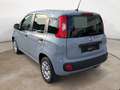Fiat Panda 1.2 Easy 69 Cv - PRONTA CONSEGNA!! Grigio - thumbnail 3