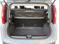Fiat Panda 1.2 Easy 69 Cv - PRONTA CONSEGNA!! Grigio - thumbnail 15