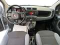 Fiat Panda 1.2 Easy 69 Cv - PRONTA CONSEGNA!! Grigio - thumbnail 7