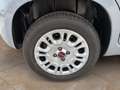 Fiat Panda 1.2 Easy 69 Cv - PRONTA CONSEGNA!! Grigio - thumbnail 16