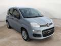 Fiat Panda 1.2 Easy 69 Cv - PRONTA CONSEGNA!! Grigio - thumbnail 1