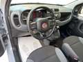 Fiat Panda 1.2 Easy 69 Cv - PRONTA CONSEGNA!! Grigio - thumbnail 5