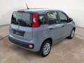 Fiat Panda 1.2 Easy 69 Cv - PRONTA CONSEGNA!! Grigio - thumbnail 4