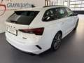 Skoda Octavia Combi RS 2,0TDI DSG *Matrix LED*NAVI*ACC*Sitzhe... Weiß - thumbnail 4