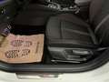 Skoda Octavia Combi RS 2,0TDI DSG *Matrix LED*NAVI*ACC*Sitzhe... Weiß - thumbnail 50