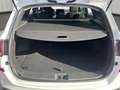 Hyundai i30 I30 WG FL 1,5 T-GDI MH FAMILY Climate Weiß - thumbnail 19