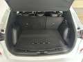 Ford Kuga 2.5 Duratec FHEV ST-Line AWD Aut. Blanco - thumbnail 12