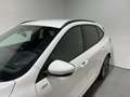 Ford Kuga 2.5 Duratec FHEV ST-Line AWD Aut. Blanco - thumbnail 7