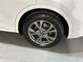 Ford Kuga 2.5 Duratec FHEV ST-Line AWD Aut. Blanco - thumbnail 14