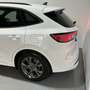 Ford Kuga 2.5 Duratec FHEV ST-Line AWD Aut. Blanco - thumbnail 9