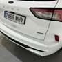 Ford Kuga 2.5 Duratec FHEV ST-Line AWD Aut. Blanco - thumbnail 11