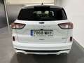 Ford Kuga 2.5 Duratec FHEV ST-Line AWD Aut. Blanco - thumbnail 10