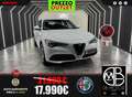 Alfa Romeo Stelvio Stelvio 2.2 t Super 180cv auto Bianco - thumbnail 1