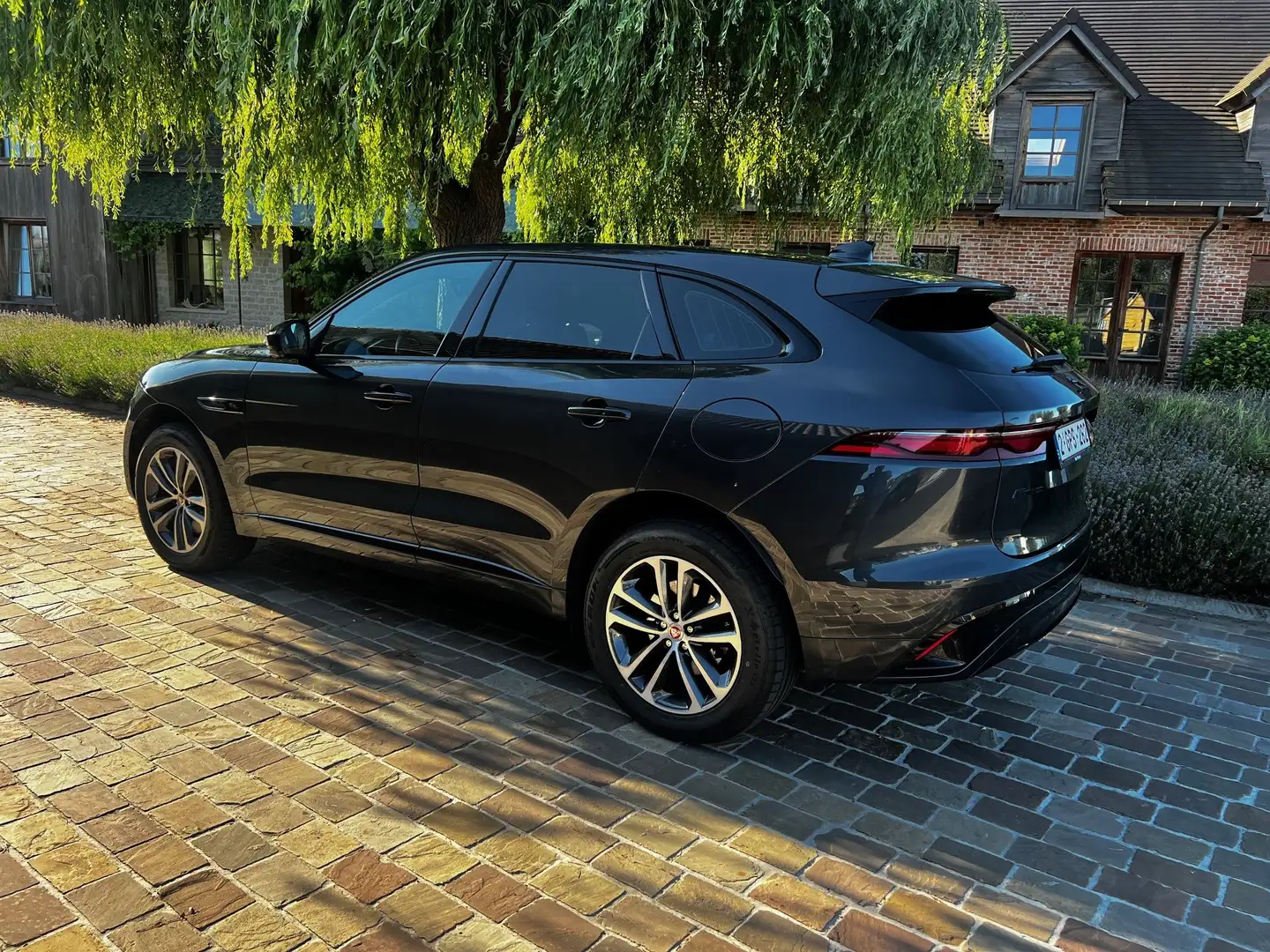 Jaguar F-Pace F-Pace P400e AWD R-Dynamic HSE Gris - 1